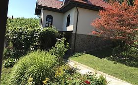 Wine & Nature & Tour